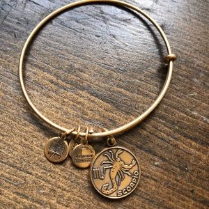 Scorpio zodiac sign Alex and Ani